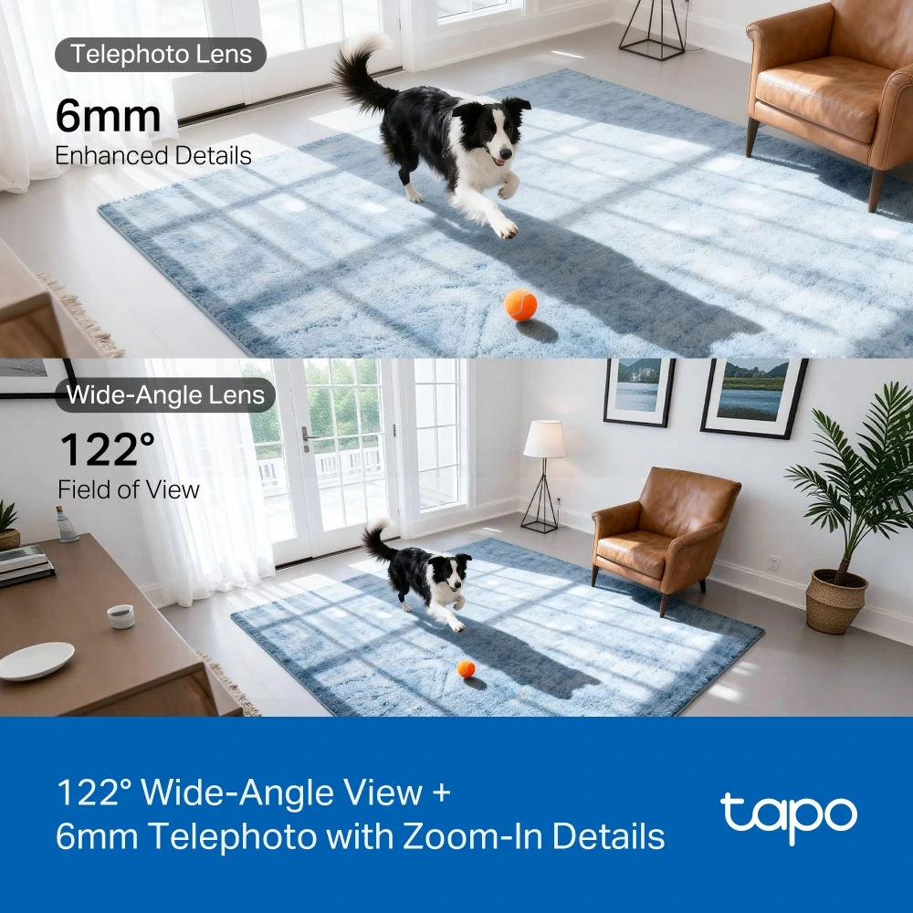 Tapo C245D overview9