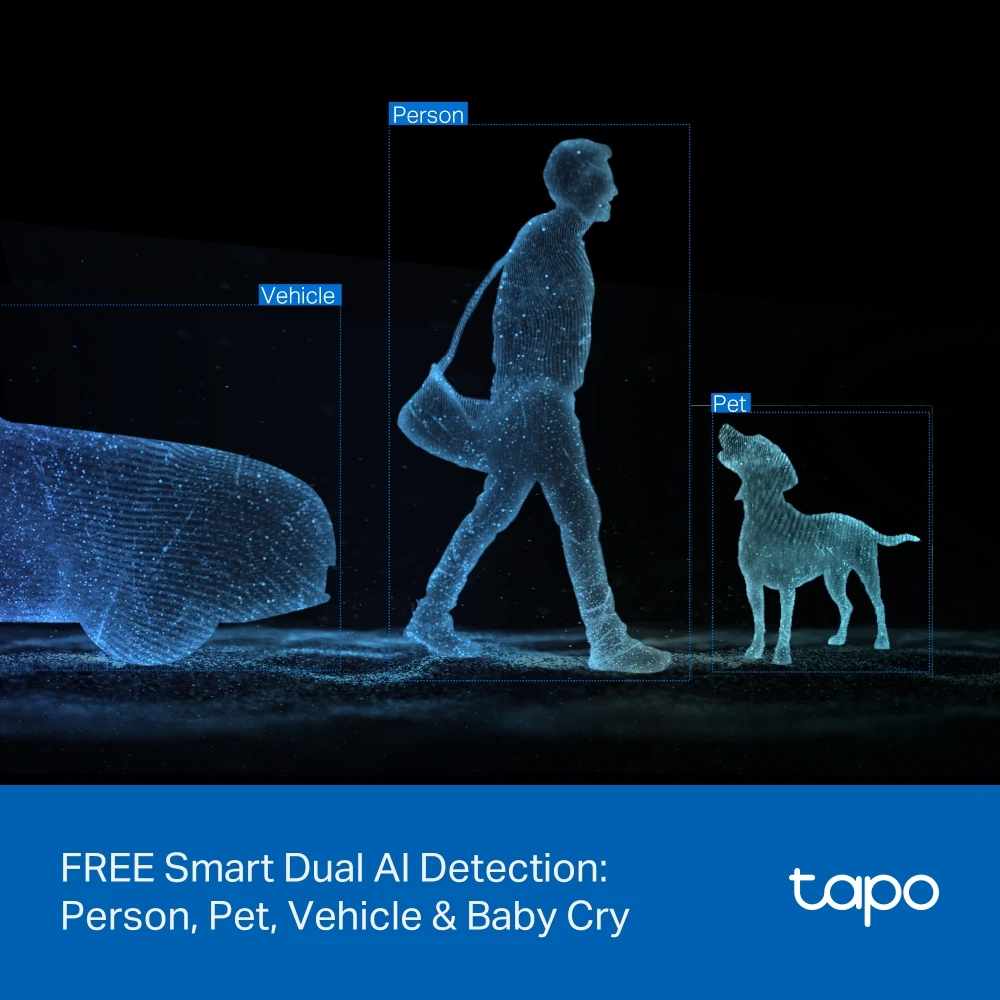 Tapo C245D overview5